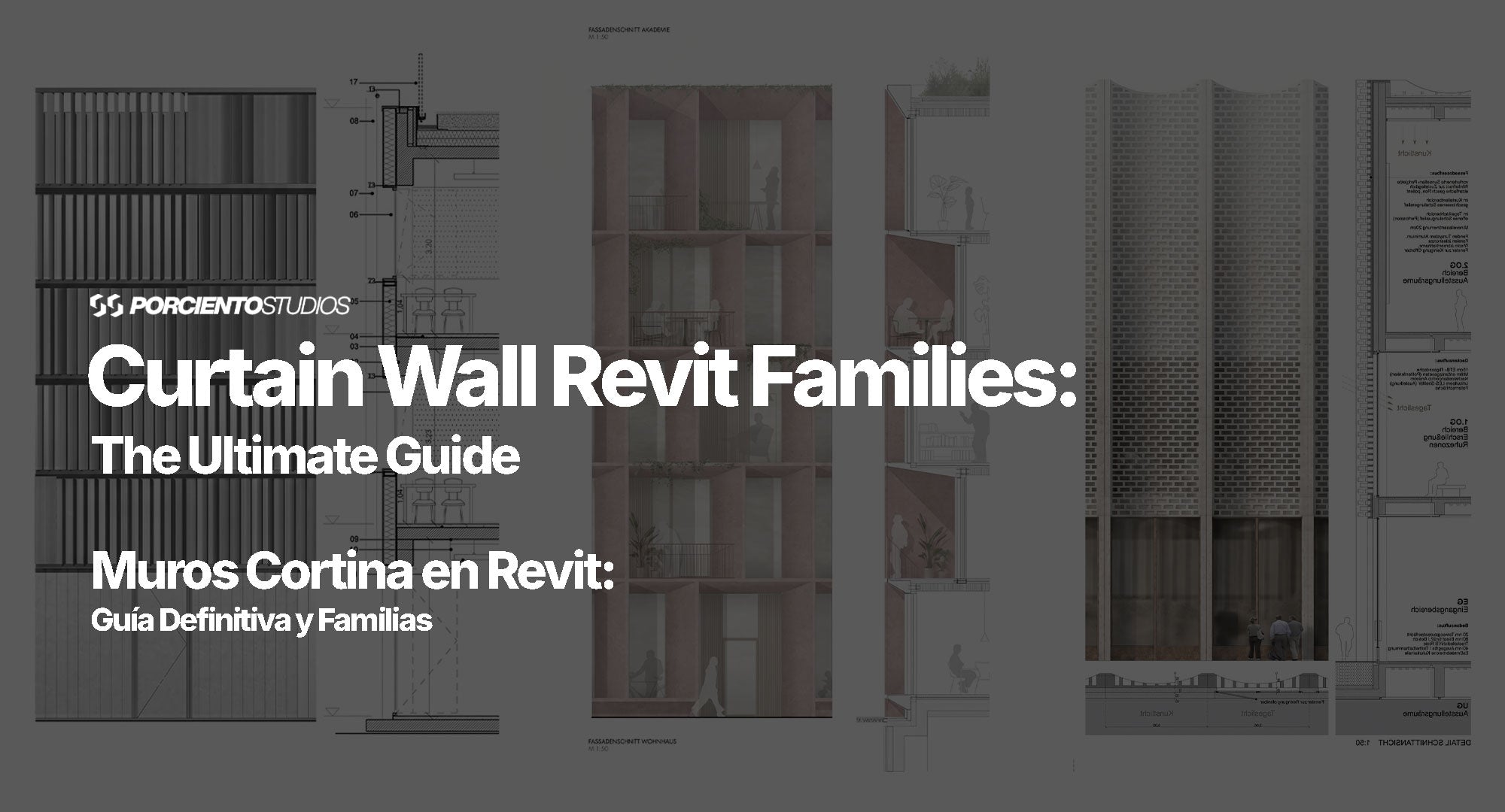 Parametric Curtain Wall Revit Families: The Ultimate Guide